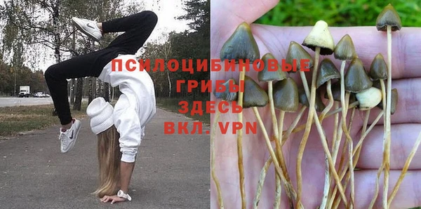 стафф Кулебаки