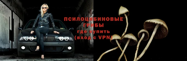 гидра Ладушкин