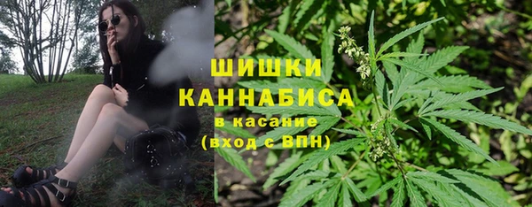 гидра Ладушкин