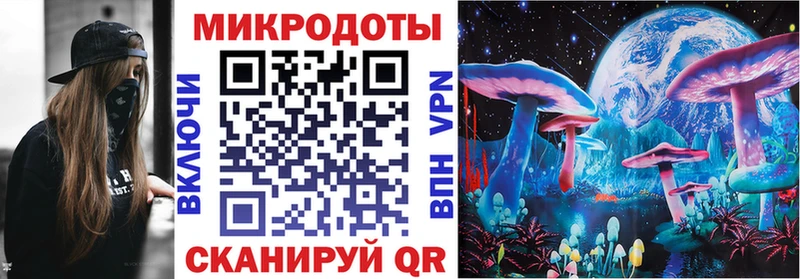 Купить  Оленегорск  Псилоцибиновые грибы Psilocybine cubensis 